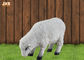 Kapalı Beyaz Polyresin Dolly Koyun Heykeli Hayvan Heykelcikleri Zemin Heykel Dekor