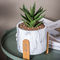 Mini Succulents Yetiştiricilerinin Masaüstü Tencere Kil Saksı Mermer Saksı Çimento Saksı Yetiştiricilerinin
