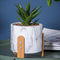 Yuvarlak Sulu Meyveler Tencere Çimento Saksı Mini Saksı Yetiştiricilerinin Masaüstü Saksılar Dekoratif Saksılar