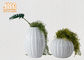 Yuvarlak / Oval Fiberglas Bitki Saksıları Parlak Beyaz Altın Yaprak Bitiş Çizgisi Yüzeyi